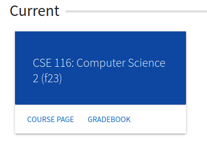 Student no badge